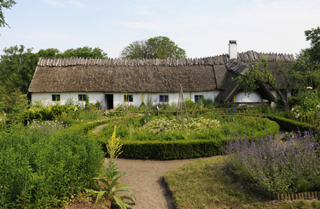 Gamlegård, Östarp. På sommaren. Foto: Viveca Ohlsson/Kulturen