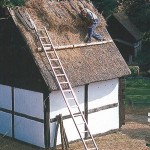 Malttorkan