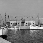 Sydsvenskt fiske