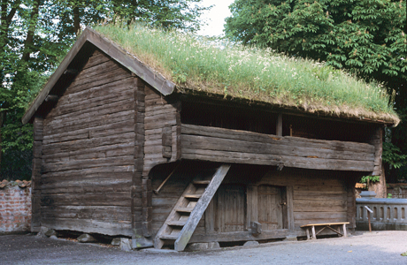 Uranäsboden/Dackestugan innan den monterades ner för att flyttas till sin nya plats på Kulturen. Återuppbyggnad pågår.  Foto: Viveca Ohlsson/Kulturen