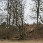 Lastare på Östarp Med lite extra maskinhjälp går det lätt att dra upp tunga stockar i den branta backen.