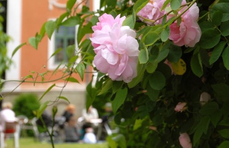 Rosor vid Herrehuset