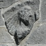 DSCF5017