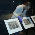 Konservator Johanna Molin placerar ut Stradanus grafiska blad från 1500-talet i en monter. Foto: Madeleine Larsson/Kulturen Konservator Johanna Molin placerar ut Stradanus grafiska blad från 1500-talet i en monter. Foto: Madeleine Larsson/Kulturen
