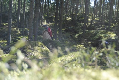 Projektledaren och timmermannen Ulrik Hjort Lassen plockar mossa i skogen. Foto: Kulturen