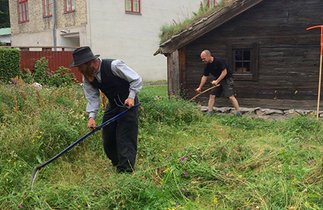 Minislåtter vid Bosmålatorpet