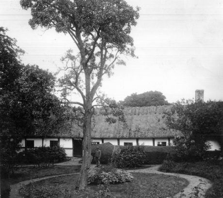 Georg Karlins fotografi av Gamlegård på Kulturens Östarp, ett år innan gården köptes av Kulturen.