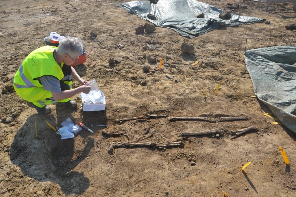 Osteolog Lena Nilsson dokumenterar en av skelettgravarna på gravfältet utanför Åkarp. Foto: Aja Guldåker/Kulturen