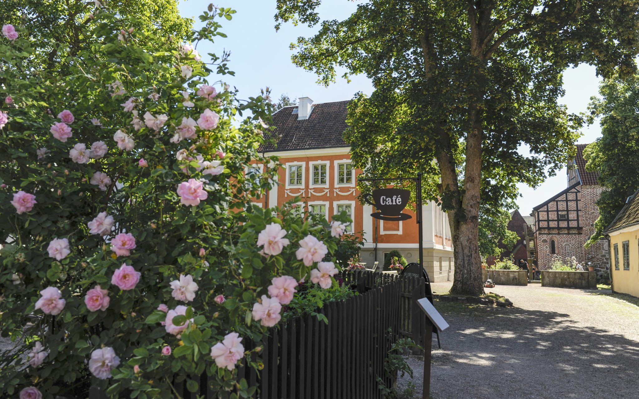 Sommar i Kulturens park.