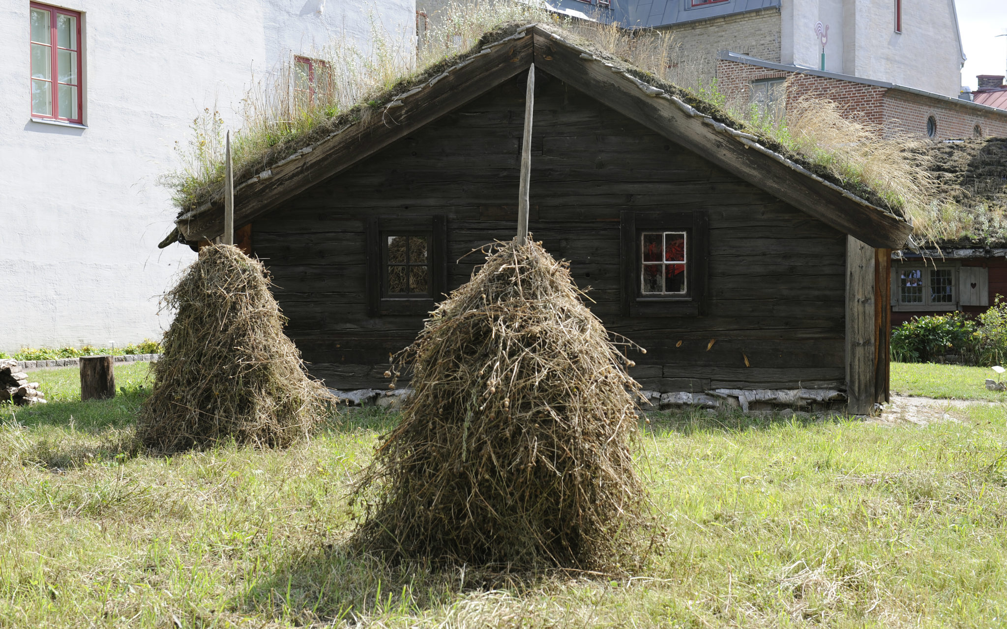 Ängen har slagits och höet torkas på volme, det vill säga att gräset hängs upp på en stör som sätts ner i marken.