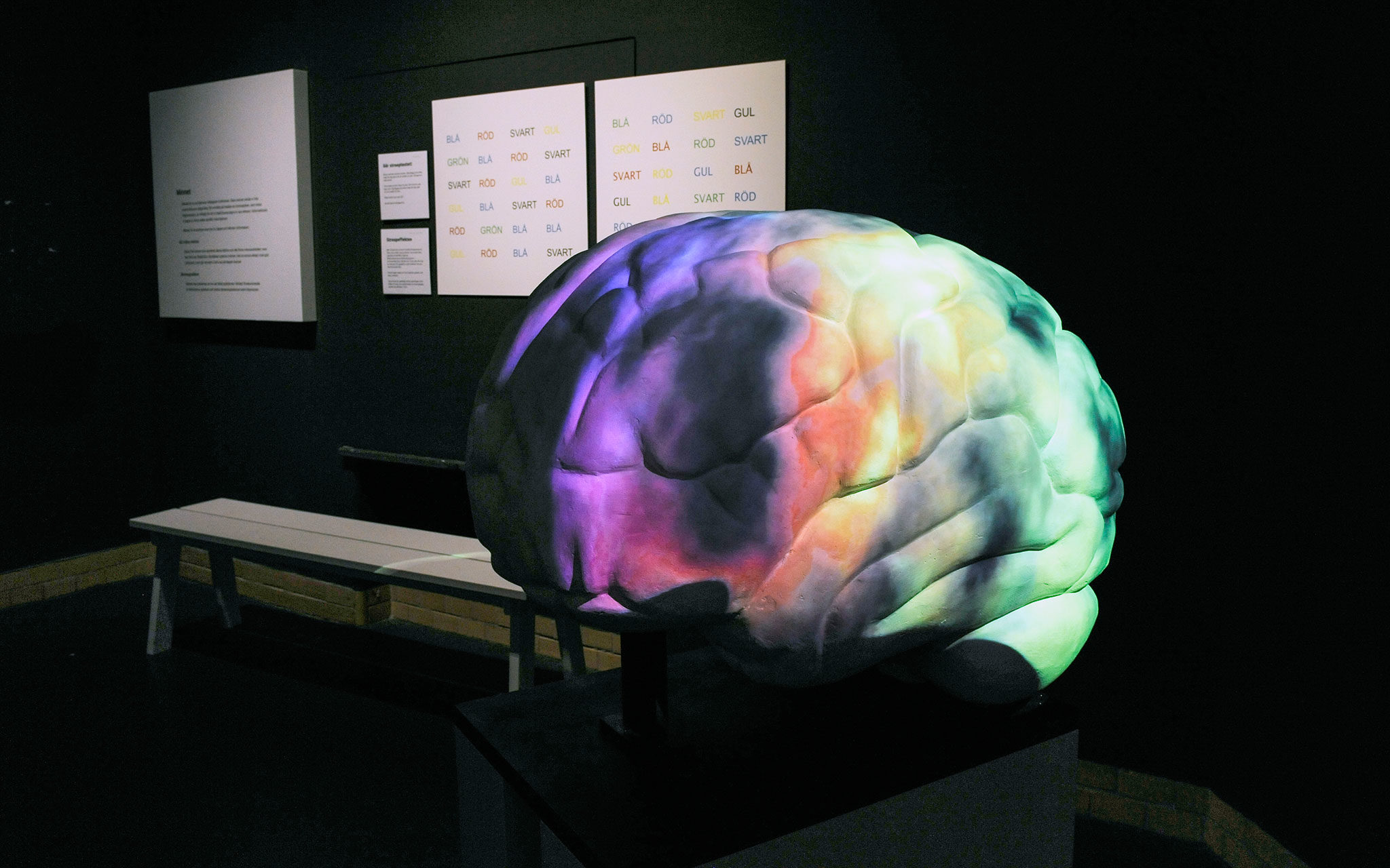 Stor modell av hjärna som lyser i olika färger och ett färtest på väggen