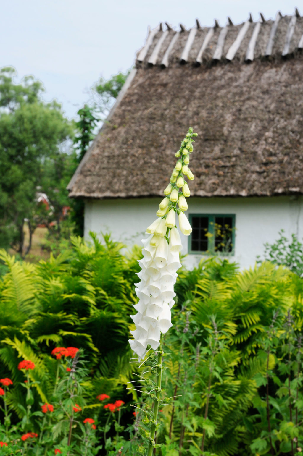 Flowers and greens in front of Gamlegård