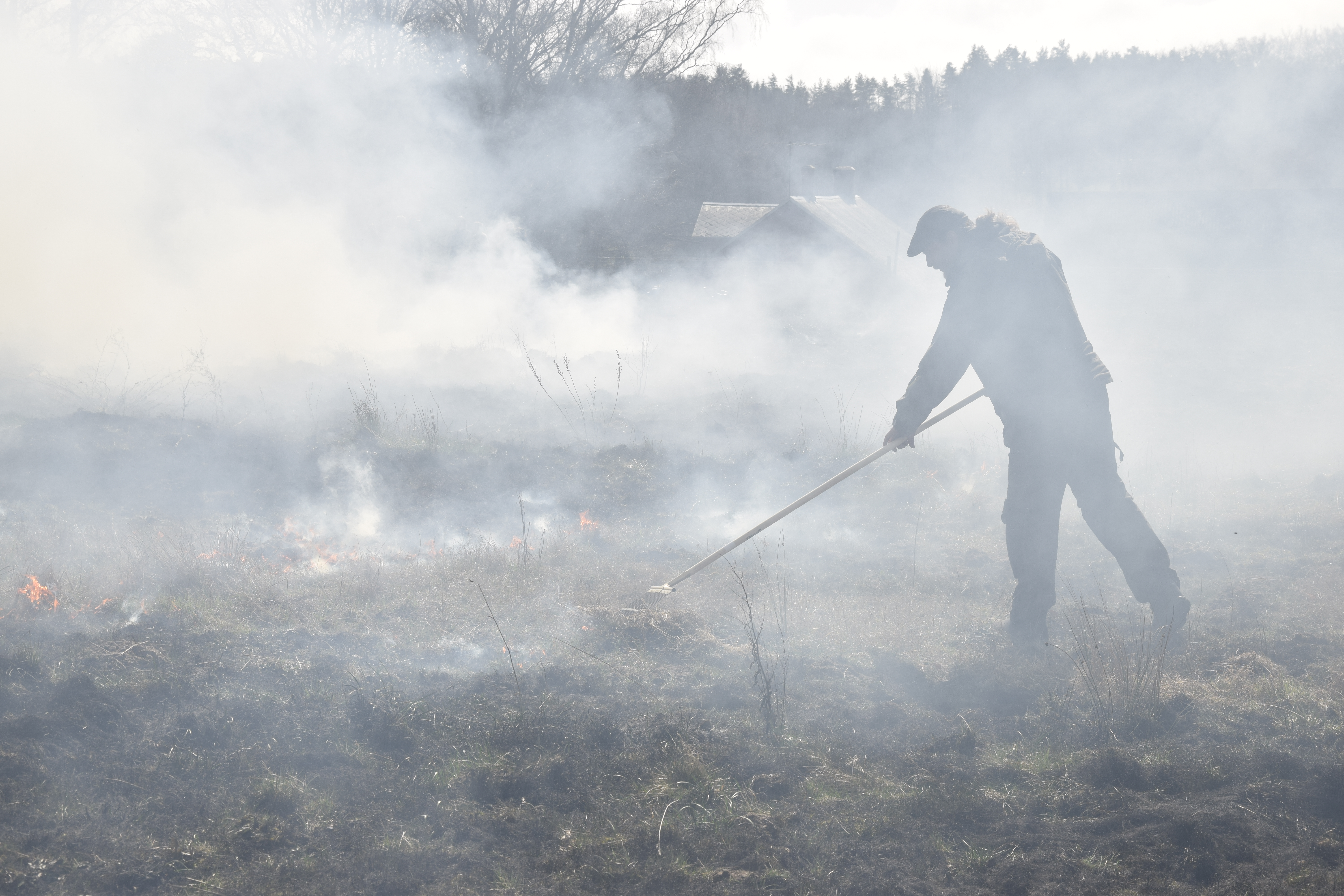 Naturvårdsbränning på Kulturens Östarp. Foto: Jessica Ljung/Kulturen