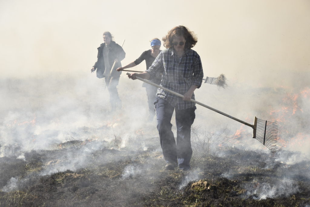 Naturvårdsbränning på Kulturens Östarp. Foto: Jessica Ljung/Kulturen