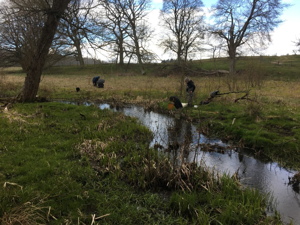 Studenter tar prover i bäcken för att undersöka förekomsten av olika vattenlevande insekter.