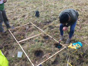 Utsättning av fällor för marklevande insekter, såsom spindlar och jordlöpare.