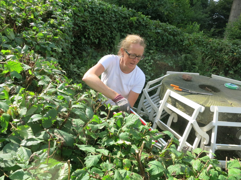 Christel klipper almhäcken runt kaffegrottan