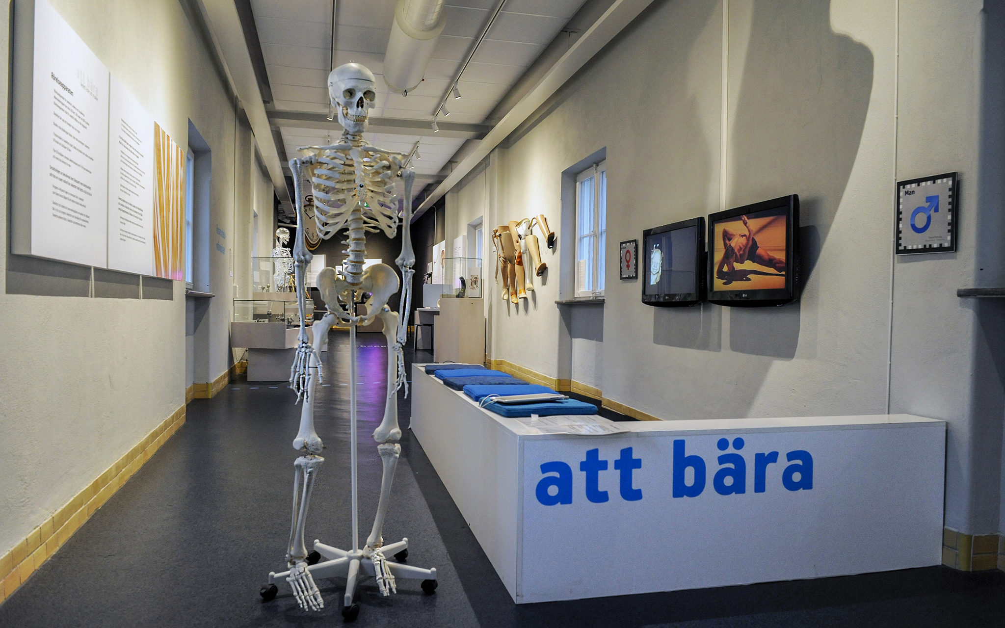 Bild från utställningen på Livets museum