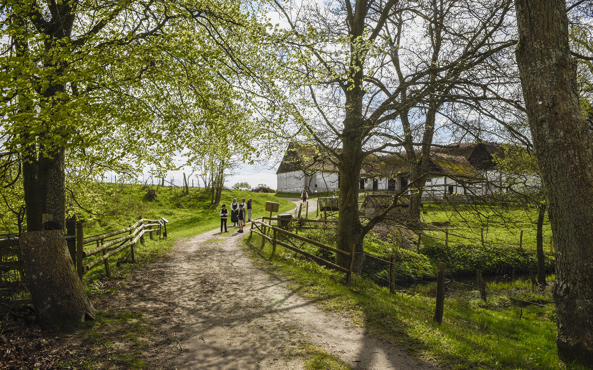 Kulturen's Östarp in early May.