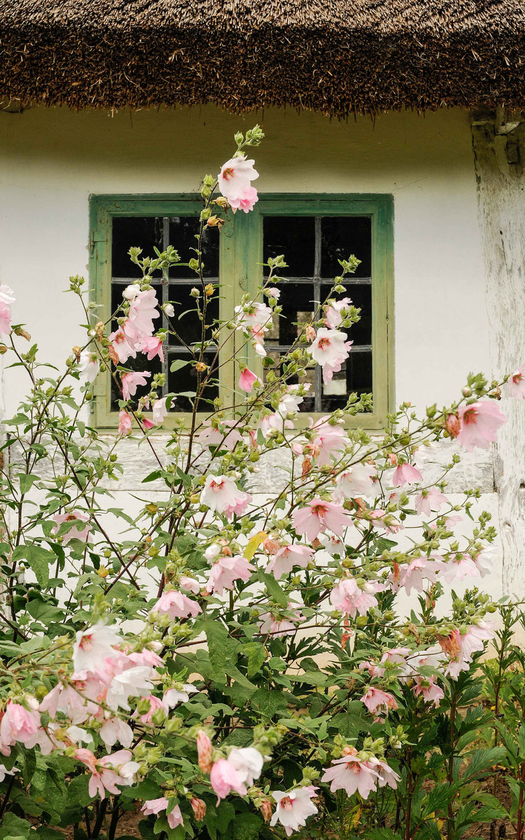 Flowers in front of Gamlegård