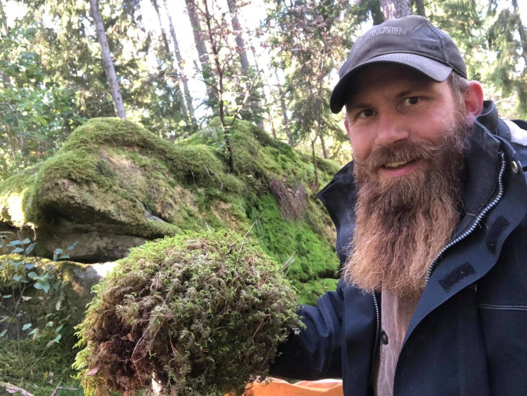 Olof samlar mossa i skogen.