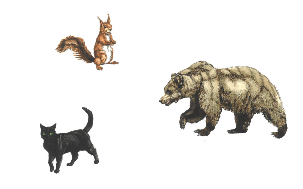 Akvarellmålningar av ekorre, katt och björn