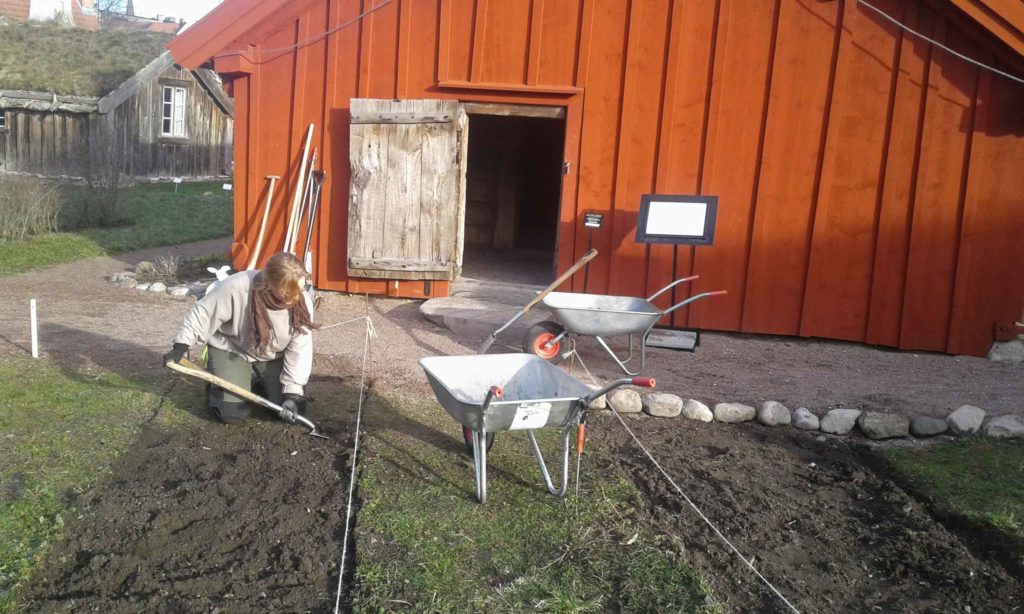 Emilia Granqvist, praktikant från Hvilans trädgårdsutbildning, gräver odlingsbäddar utanför Onsjöstugan.