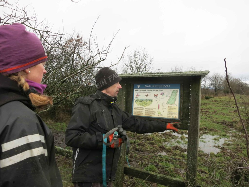 Informationsskylt om naturreservatet Humlarödshus fälad. Marken ägs av Kulturen och förvaltas av Länsstyrelsen Skåne. Foto: Kristina Bakran, Kulturen