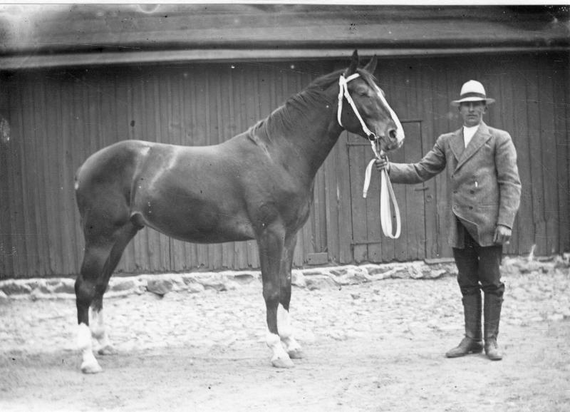 Man med häst. Foto: Otto Hoffer, ur Kulturens samlingar. 