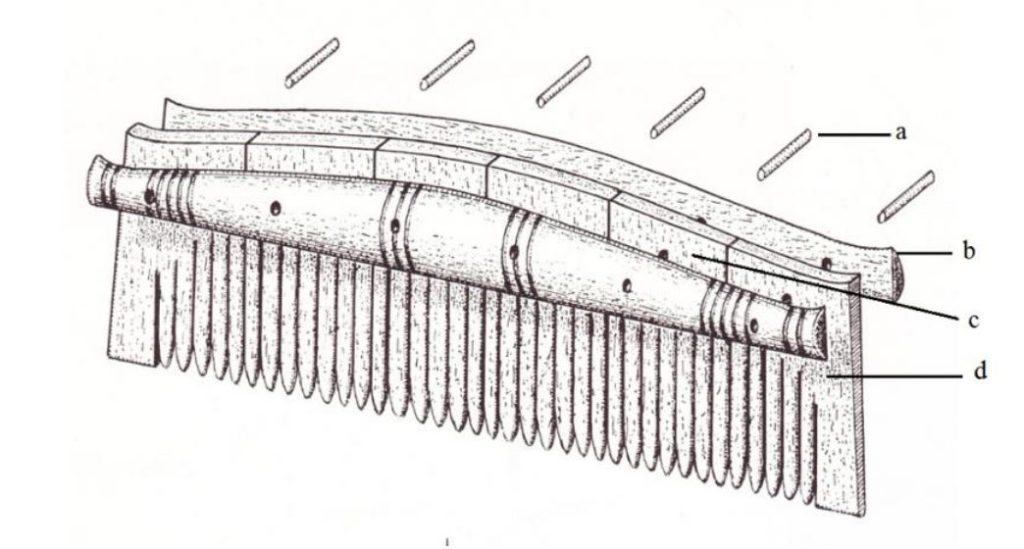 En sammansatt enkelkam i dess olika beståndsdelar. Illustrationen är hämtad från Kristina Ambrosianis avhandling med titeln ”Viking Age Coms, Comb Making and Comb Makers in the light of finds from Birka and Ribe”, vilken utkom 1981.