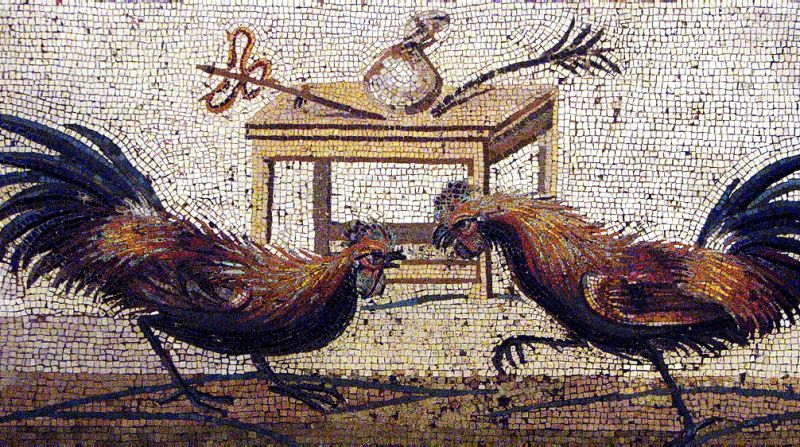 Avbildning av tuppfäktning på mosaik från Pompeji. Bild av: Terez Anon
