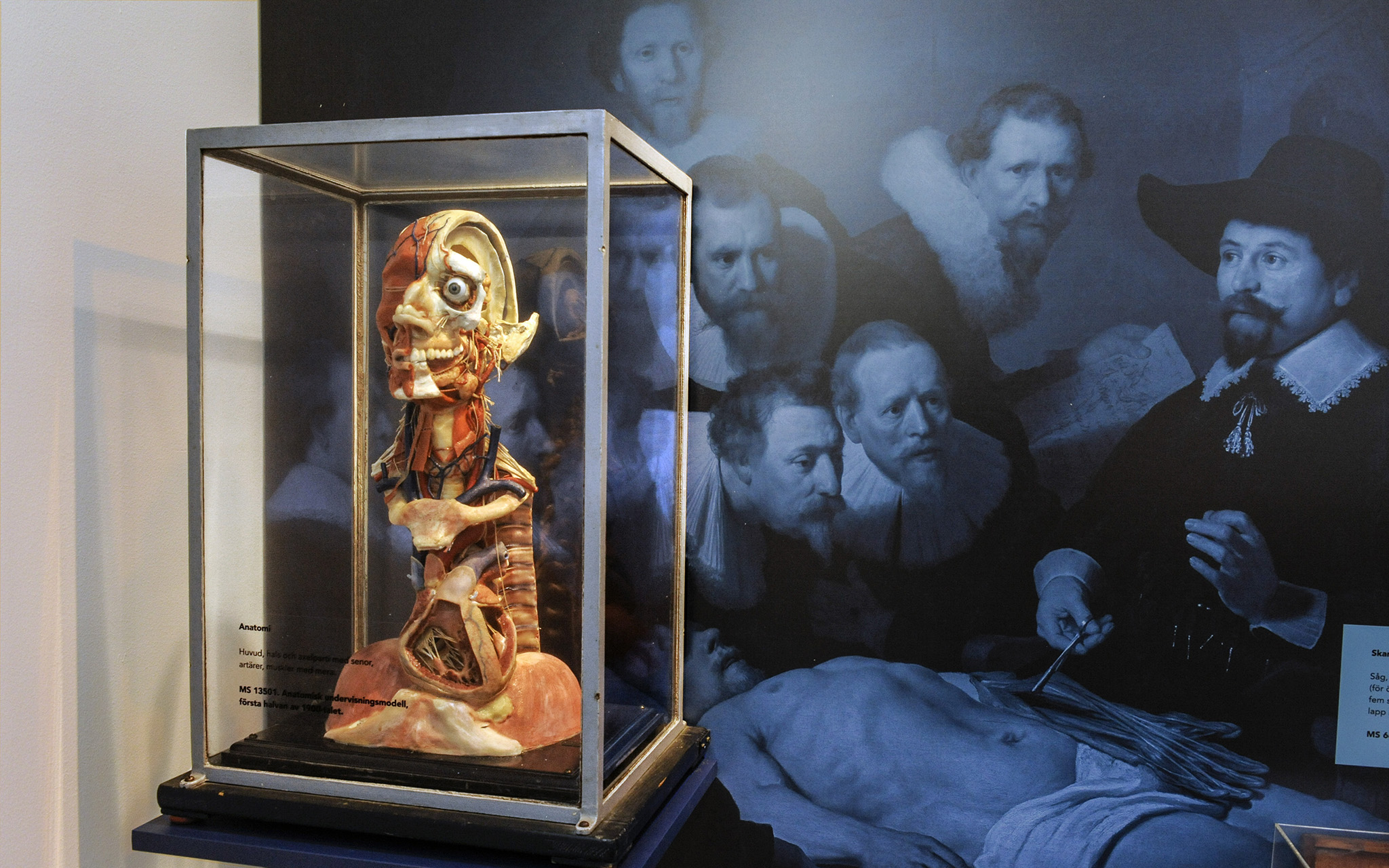 Från utställningen Tro, hopp och hälsa på Medicinhistoriska museet i Helsingborg. Foto: Viveca Ohlsson, Kulturen