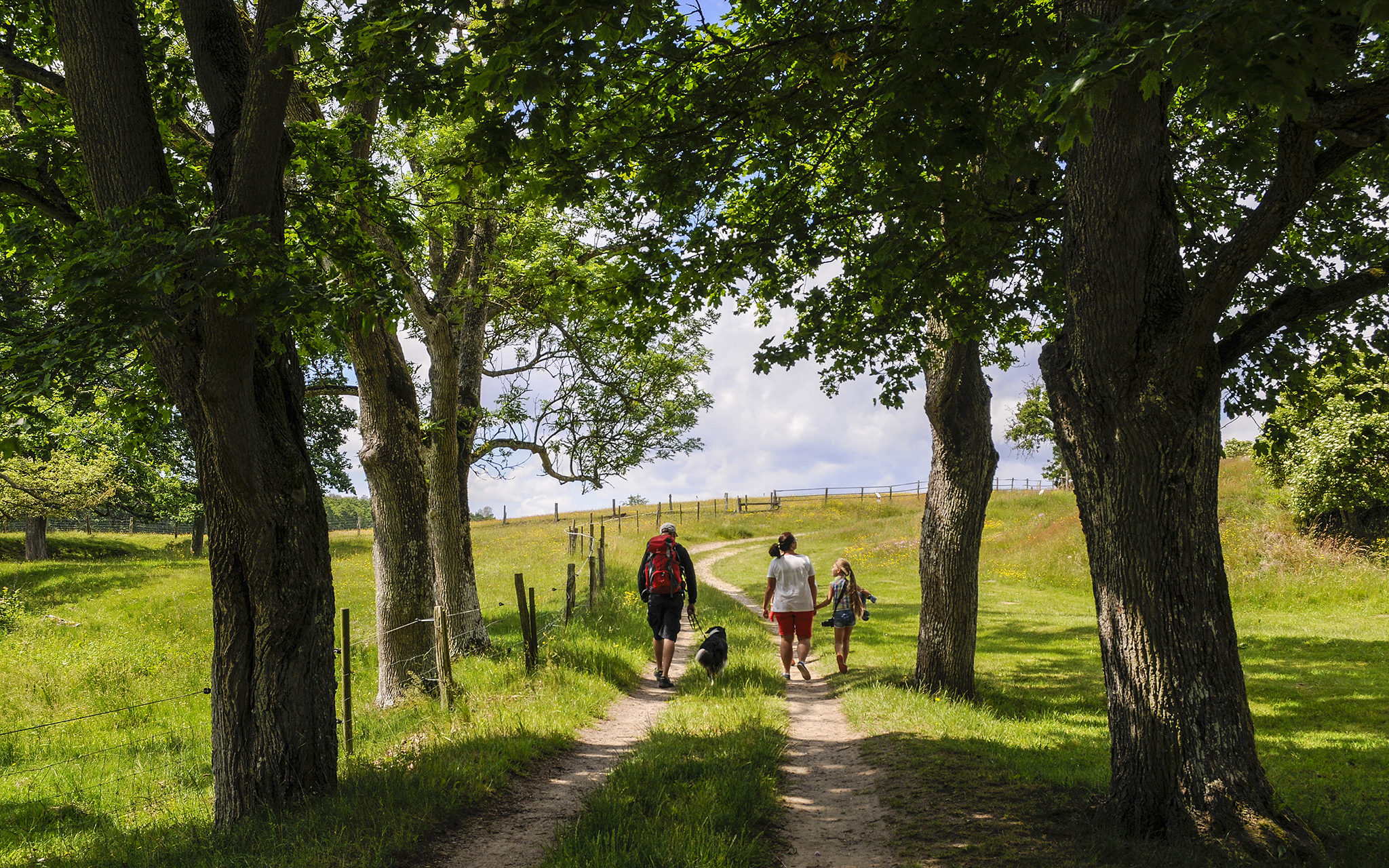 Familj promenerar på Kulturens Östarp. Foto: Viveca Ohlsson, Kulturen