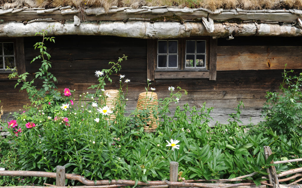 Blekingegårdens "bihave", med växter som drar till sig bin. Foto: Viveca Ohlsson, Kulturen