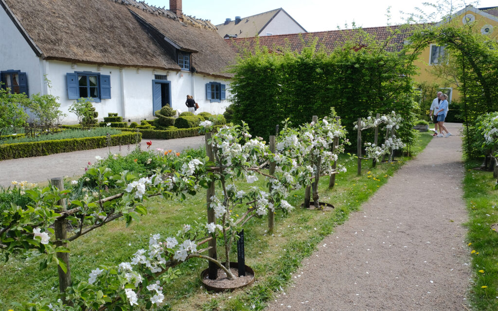 Till vänster syns Västra Vrams prästgård, byggd i mitten på 1700-talet. Foto Jessica Ljung, Kulturen. Här syns också en gång som omges med spaljerade äppel- och päronträd.