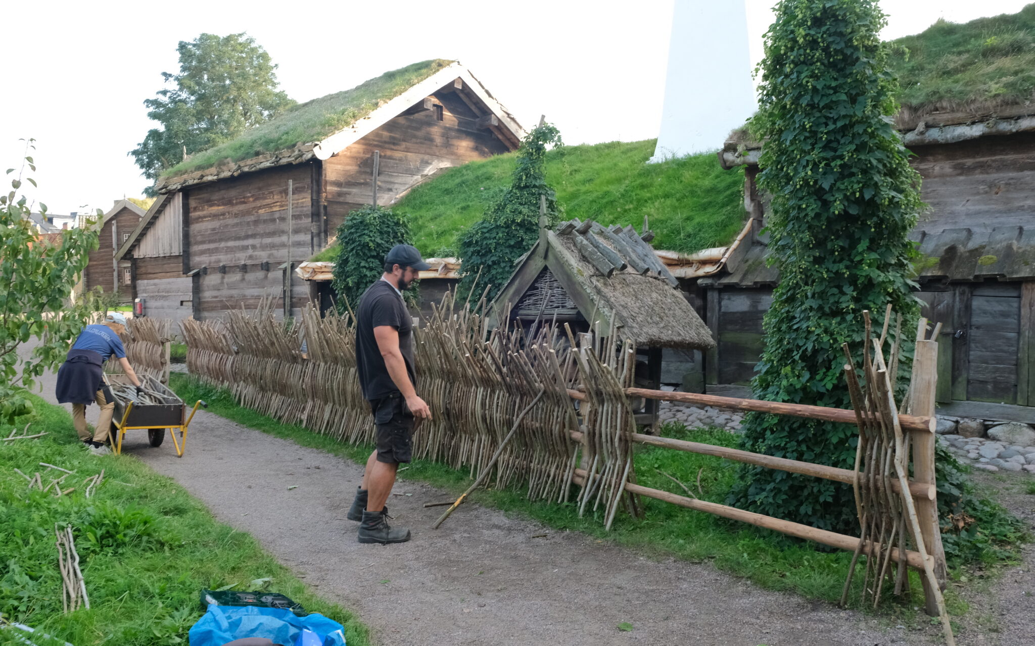En man står framför ett staket byggt av trägrenar, framför en timrad byggnad på torvtak. En annan person tar upp en gren från en skottkärra.
